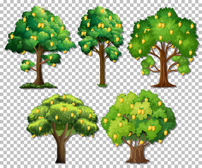 Set of different trees on transparent background