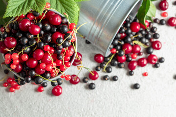 Cherries, red and black currants in a small metal bucket.