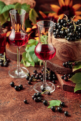 Obraz na płótnie Canvas Black currant liquor and ripe juicy berries.