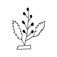 abstract plant glued with tape icon. hand drawn doodle. vector, scandinavian, nordic, minimalism, monochrome. plant, herbarium, scrapbooking.