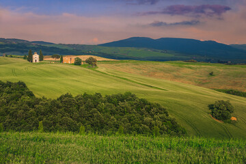 Fototapeta na wymiar Grain fields and Vitaleta chapel on the hill, Tuscany, Italy