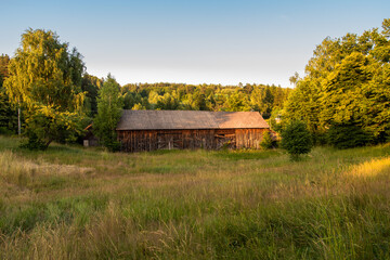 Old, wooden barn situated between green trees, on a meadow. Forest in the background. Krasnobr&oacute;d, Roztocze, Poland.