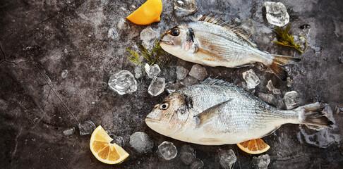 Seafood panorama with two whole fresh sea bream chilling on ice