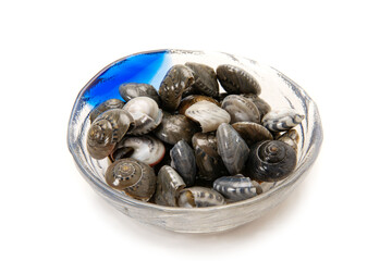 ながらみ貝の塩茹で