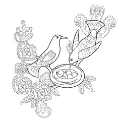 Contour linear illustration for coloring book with paradise bird. Beautiful tropical exotic bird,  anti stress picture. Line art design for adult or kids  in zentangle style and coloring page.