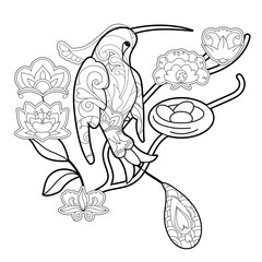 Contour linear illustration for coloring book with paradise bird. Beautiful tropical exotic bird,  anti stress picture. Line art design for adult or kids  in zentangle style and coloring page.