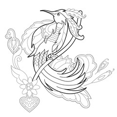 Contour linear illustration for coloring book with paradise bird. Beautiful tropical exotic bird,  anti stress picture. Line art design for adult or kids  in zentangle style and coloring page.