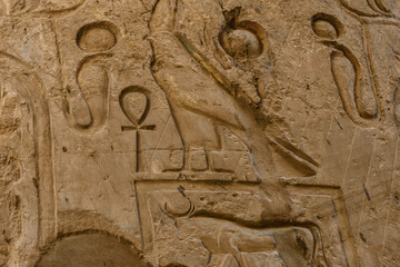 Egyptian ancient hieroglyphs on the stone wall. Closeup of the symbol of eternal life ankh