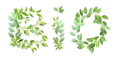 Word BIO made from branches with green leaves