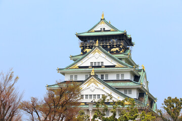 Fototapeta premium Osaka castle, Japanese ancient castle in Osaka, Japan