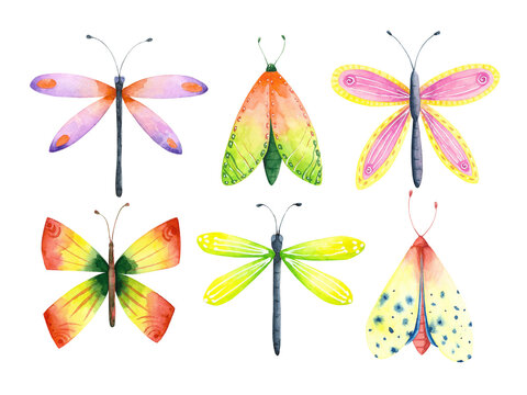 Watercolor butterfly set. Dragonfly, moth clip art collection. Flying insects illustrations isolated on white background.