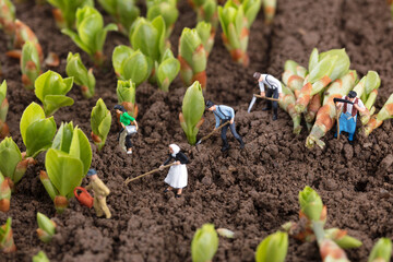 Farmers who grow crops in a miniature world