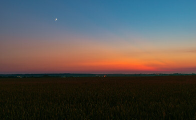 evening sky and moon over wheat field 