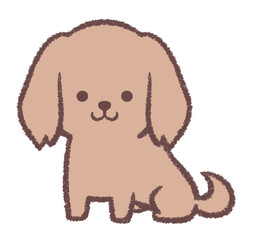 座るミニチュアダックスフンド 