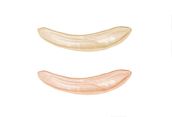 Foundation color sample smeared on white background