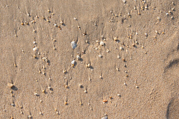 sand on the beach background. Top view