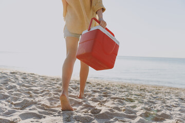 Cropped up photo shot barefoot back view young woman wear shorts summer clothes carry picnic bag...