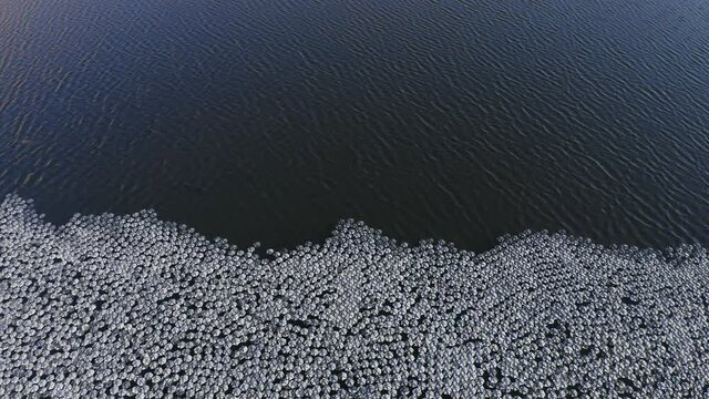 Small reflecting plates clustered together in a large water reservoir.