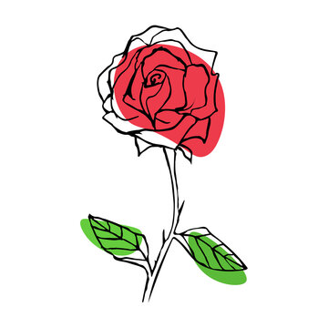Flower rose vector line art logo. Minimalist contour drawing. Line artwork for banner, book design, web illustration. Hand drawn minimalism style vector illustration.