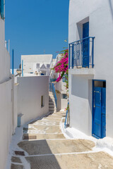 Traditional cycladitic   alley with a narrow street,  whitewashed  houses and a blooming...