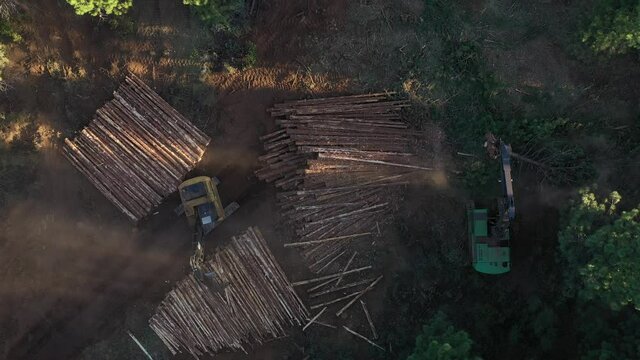 Aerial view of an area in a vast forest being clear cut with machinery. 
