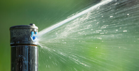 Nozzle of automatic lawn watering system, close-up. - obrazy, fototapety, plakaty