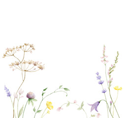 Fototapeta na wymiar Watercolor vector card with wildflower flowers and leaves.