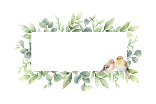 Watercolor vector wreath with green branches and birds.