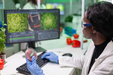 African chemist researcher holding petri dish with vegan meat in hands while typing genetic...