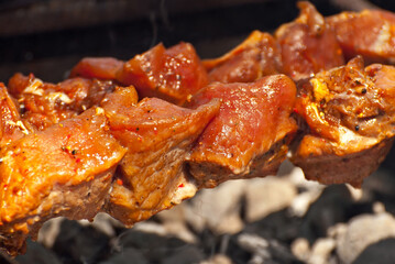 Slice pieces of meat on the grill. barbecue at the festival. Cheese and roasted veal on skewers.