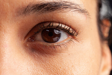 Fototapeta na wymiar Close up of feminine eye with eyelashes and eyebrows sight details. Camera focus on natural human optical vision of healthy brown eyeball and eyelid. Adult iris, pupil, retina, cornea