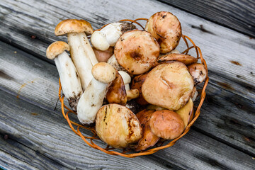 Wicker basket with freshly picked porcini and oiler mushrooms on a rustic wooden table. Top view