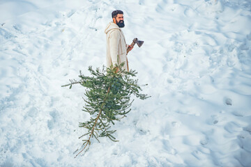 Bearded man with freshly cut down Christmas tree in forest. Christmas lumberjack with axe and...