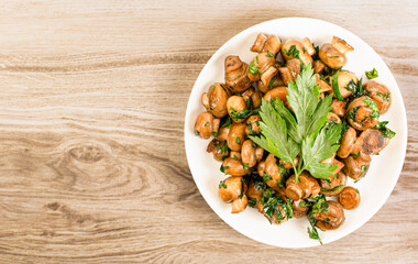 fried champignons and parsley leaves in a plate on a wooden background