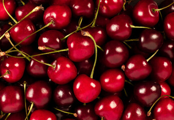 background of ripe cherries close up