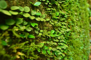 ยึดเกาะยึดเหนี่ยว