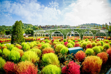 Landscape of the Everland theme park in Seoul on a sunny day in South Korea