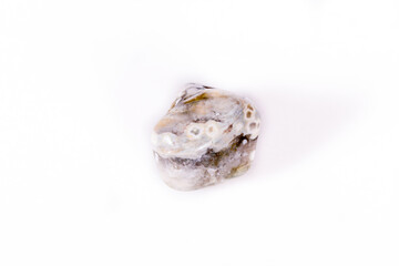 Macro mineral stone Jasper oceanic on a white background