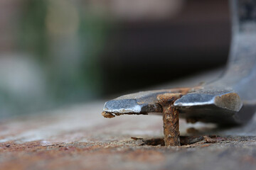 Macro photo of removing a rusty nail from a wooden board