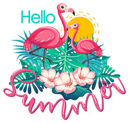 Obraz premium Hello Summer banner with flamingo isolated