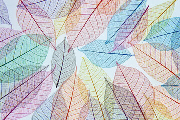Fabric Leaves