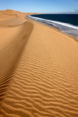 Fototapeta na wymiar Sandwich Bay - Namib Desert - Namibia