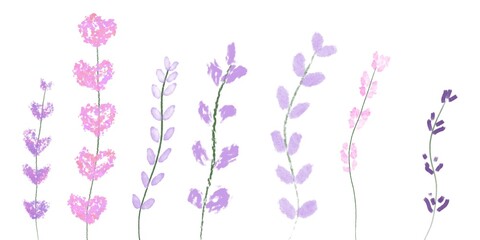 flowers on white background , lavender collection two