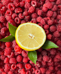 Fresh lemon with leaves on raspberry background as package design element, fruit background, sliced...