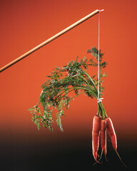 Carrot and stick - a metaphor for a method of persuasion