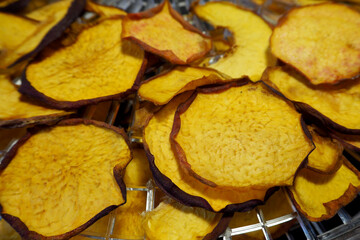 round dried yellow peach slices after drying in a dehydrator . side view. useful dried fruits chips from a peach
