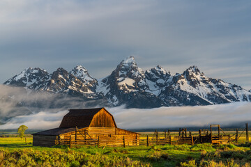Sunrise of historic Moulton Barn in the Grand Teton National Park, Wyoming, USA..