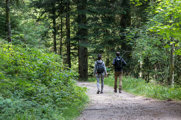 Couple de randonneurs promeneurs en forêt - obrazy, fototapety, plakaty