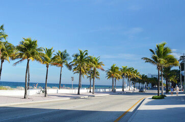Fototapeta premium Empty street of A1A North Fort Lauderdale, Florida with palm trees on the sides and next to ocean