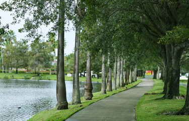 Tree Orchard in front of Sawgrass Mills Outlets Complex in Fort Lauderdale, South Florida, USA